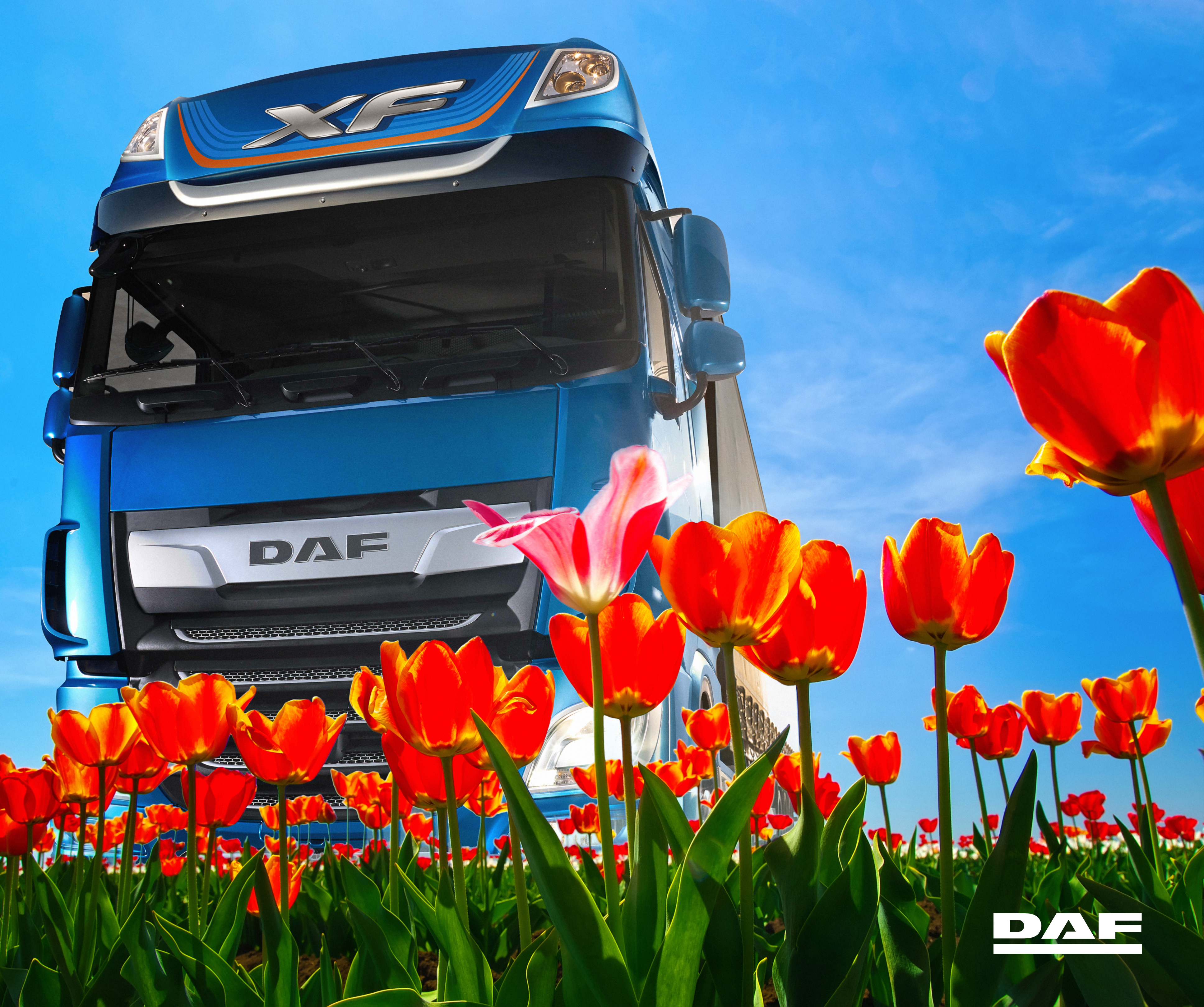 Поздравляем с наступающим 8 марта!!!